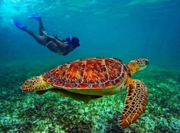 Caribe Mexicano