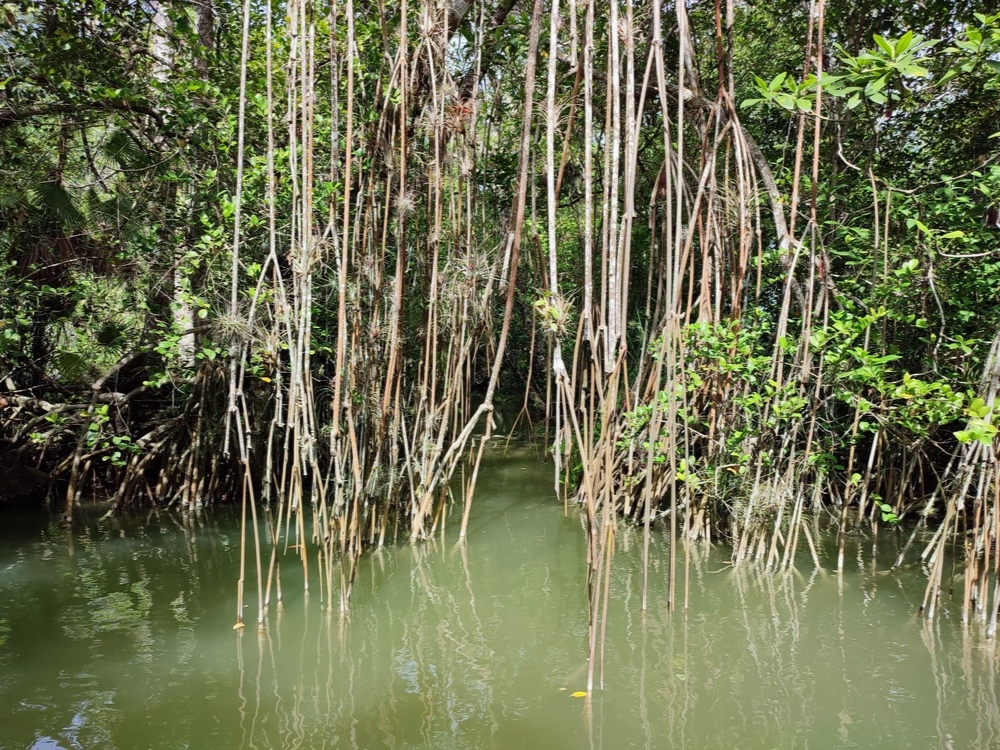 Explorando la Arqueología Y Naturaleza del Río San Pedro Mártir