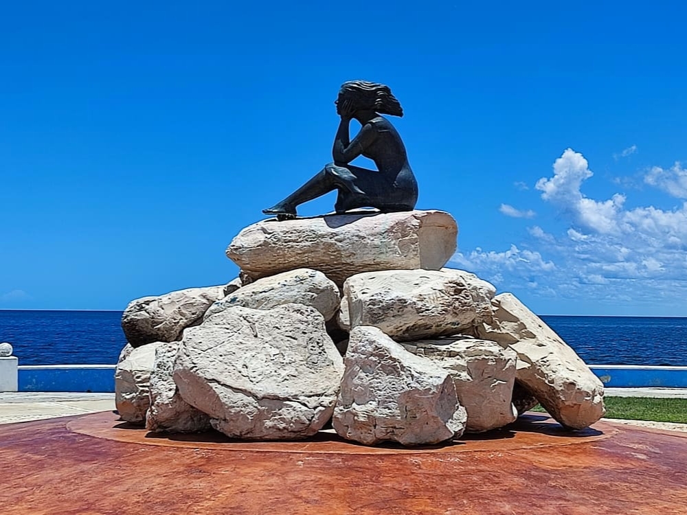 Contempla la Naturaleza