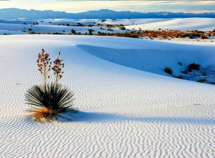 Mágico Tours Saltillo - Cuatrociénegas